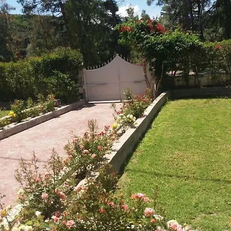Apartment Greek Style Ground Floor & Pool Ialysos (Rhodes)