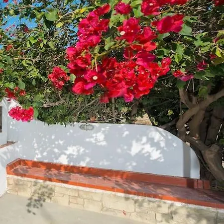 公寓 Greek Style Ground Floor & Pool 伊利索斯